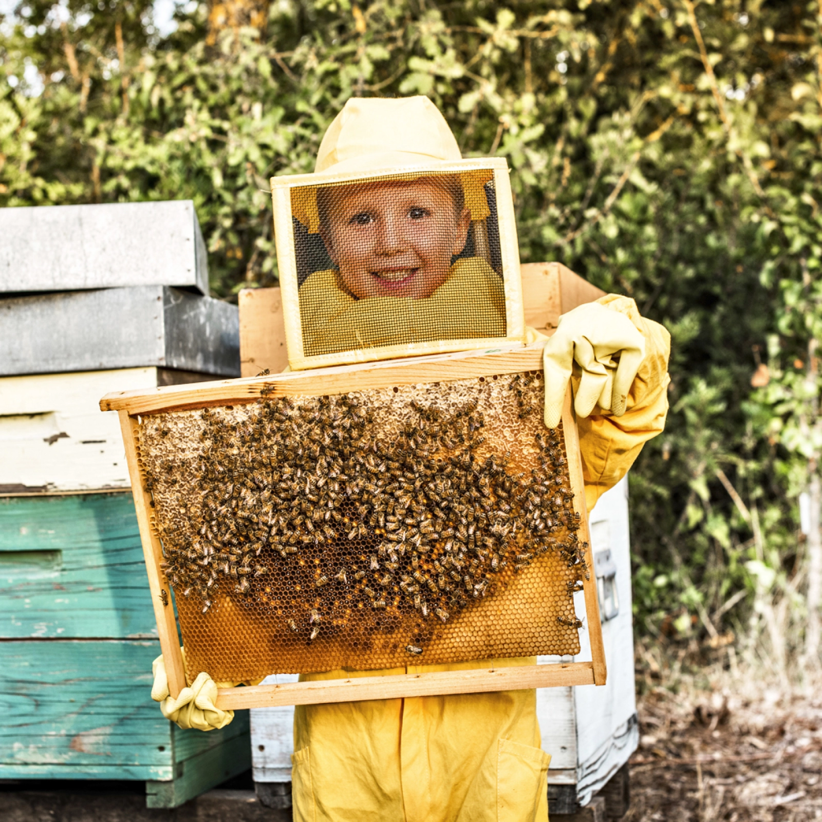 Api e mieli di Lombardia: BEEkind