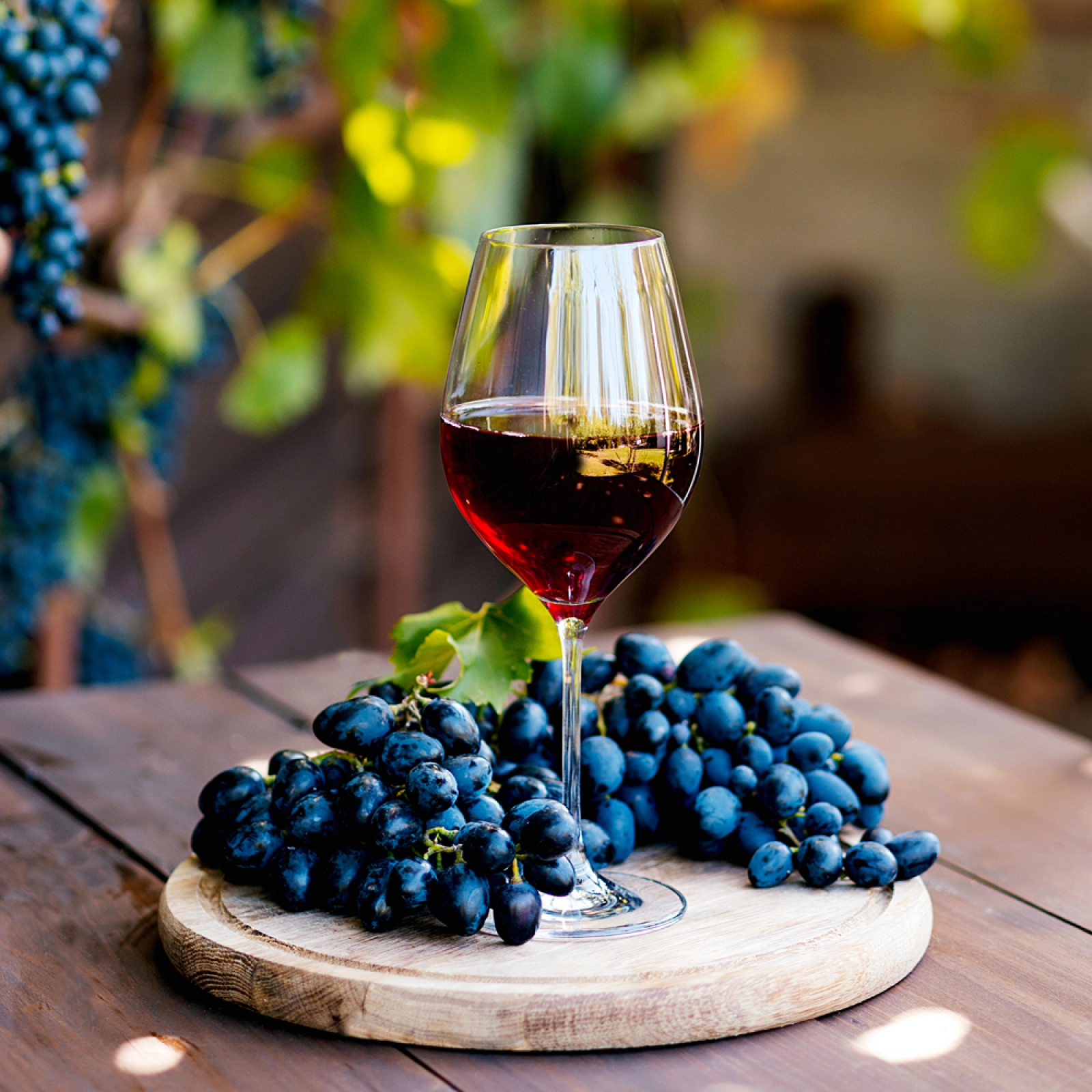 Porta a casa la Cascina